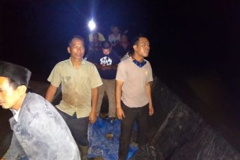 Cuci udang hasil tangkapan, nelayan di Inhil diterkam buaya