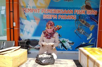 Ini inovasi SKIPM Padang untuk melayani pengusaha perikanan ditengah pandemi COVID-19
