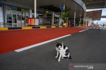 Bandara Mutiara Sis Aljufri lengang