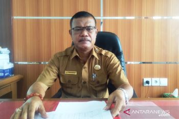 Pariaman anggarkan miliaran rupiah untuk ketahanan pangan hadapi pandemi COVID-19