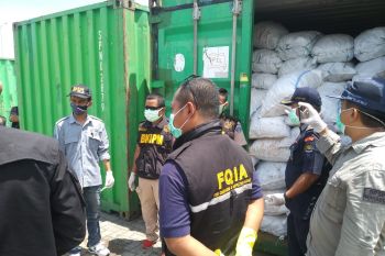 KKP gagalkan pengiriman bambu laut ilegal dari Sulawesi