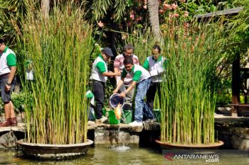 Hotel di Solo tawarkan promo di tengah pandemi COVID-19
