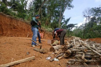 Polisi lumpuhkan tiga orang komplotan bandit sadis di Riau dan Sumut