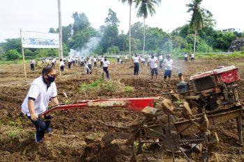 Danlantamal VIII turun langsung garap lahan untuk ketahanan pangan