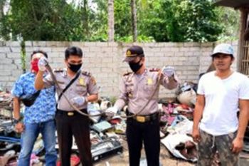 Pengepul rongsokan temukan 146 buah amunisi kaliber 5.56 mm dalam karung