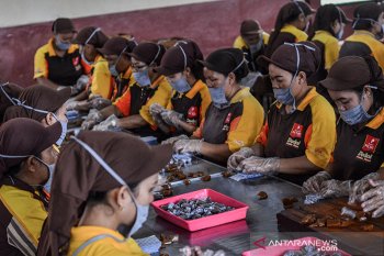 Minister highlights women's role as economic driving force