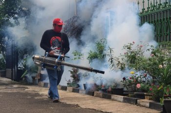 Preventing dengue, malaria to avoid double health burden amid corona