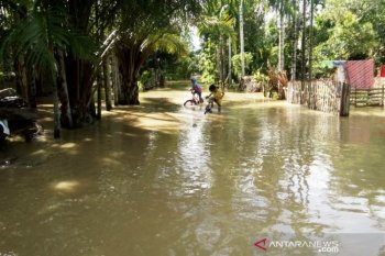 Banjir rendam 11 desa di tiga kecamatan Aceh Barat