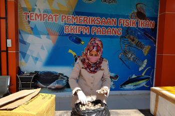 SKIPM Padang sebut ekspor perikanan Sumbar berkurang saat pandemi COVID-19