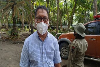 Penularan lokal COVID-19 diduga terjadi di kawasan penambangan Tembagapura