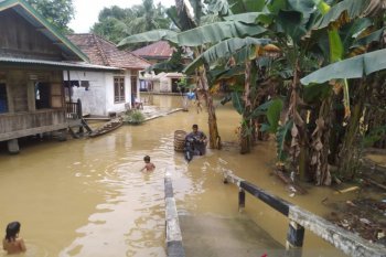 Sungai Batanghari meluap, enam desa di Kabupaten Batanghari terendam banjir