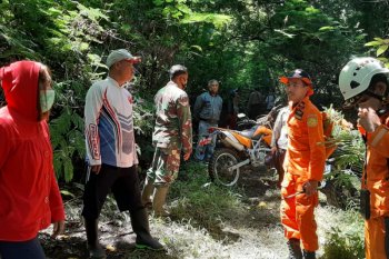 Salah ambil arah lokasi kerja, pemetik kelapa ini tersesat di hutan selama dua hari ditemukan Basarnas