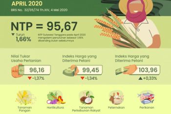 Pendemi Covid-19,  NTP di Sultra April 2020 turun 1,66 persen