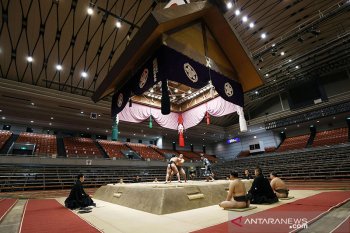 Pesumo pun takluk melawan corona