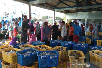 Pandemi COVID-19 tidak pengaruhi aktivitas lelang TPI Batang