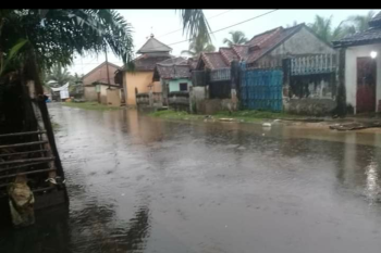 Hujan semalam, genangi jalan dan rumah warga Desa Margasari Lampung Timur