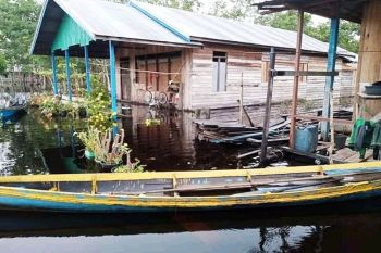 BPBD Kotim diminta bergerak cepat tangani korban banjir