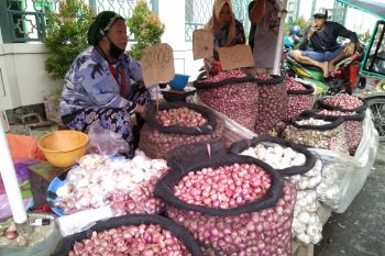 Suplai bawang merah asal Enrekang mampu turunkan harga bawang di pasar Makassar