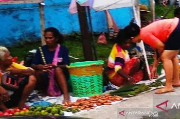 PDRB Papua atas dasar harga triwulan satu 2020 capai Rp46,31 triliun