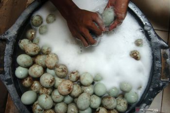 Telur asin dijadikan oleh-oleh pemudik