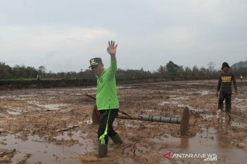 Kepri alami defisit beras, Lingga ajukan sawah baru