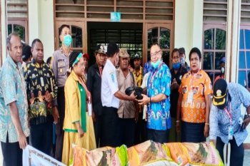 MRP ajak masyarakat Sentani berkebun selama pandemi COVID-19