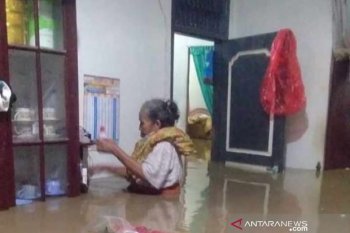 Banjir di Pidie Jaya rendam 15 desa, satu rumah hanyut terbawa arus