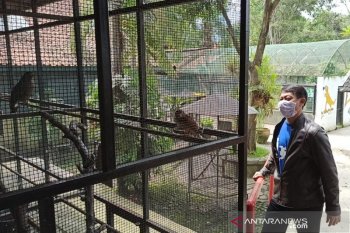 Semua jenis satwa di Taman Cikembulan dalam kondisi sehat