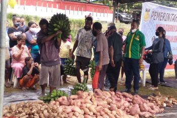 Ketersediaan pangan lokal Papua di tengah pandemi COVID-19