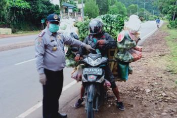 Dishub Jayapura sarankan pedagang sayur keliling rutin jalani tes cepat
