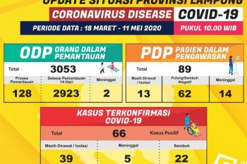 Satu pasien COVID-19 di Lampung  sembuh