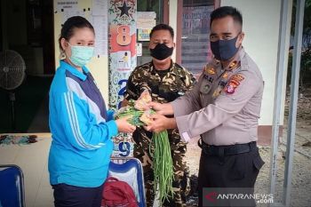 Kelompok tani di Kapuas bagikan hasil panennya untuk warga terdampak COVID-19