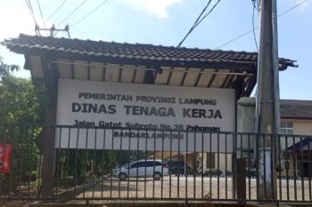 Disnaker siap terima pemulangan pekerja migran