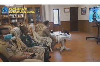Bupati : Produksi padi Kabupaten Bone capai 971.000 ton pada 2019