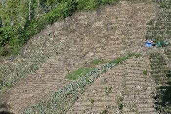 Kawasan pegunungan Kebun Kopi