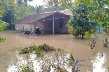 Sungai Kotoran meluap, tiga kecamatan di Kabupaten Langkat banjir
