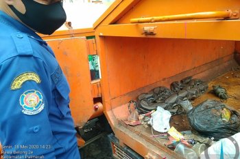 Ular sanca sepanjang tiga meter ditemukan dalam gerobak motor