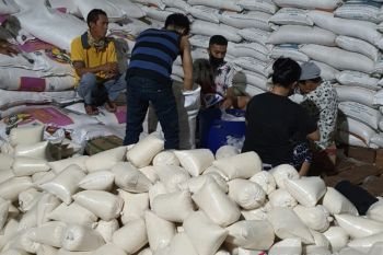 Bulog Riau gelontorkan gula murah Rp12.500 per kilogram ke pasar