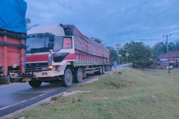 Dua truk bermuatan kayu ilegal diduga hasil perambahan hutan diamankan Polda Jambi