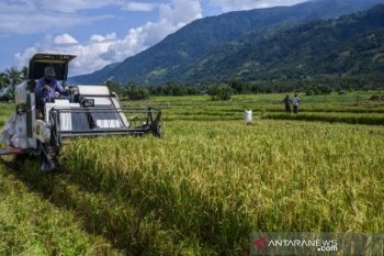 Penyediaan lahan untuk ketahanan pangan desa