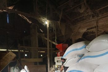 Petani di Poso kesulitan pasarkan produk berasnya