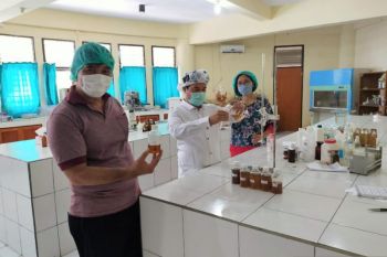 Sulawesi Utara akan memproduksi disinfektan organik dari cengkih-kelapa