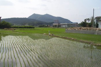 Petani harus diberi semangat untuk produksi pangan saat pandemi