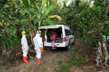 Seorang warga dinyatakan positif COVID-19, total 11 warga Padang Pariaman terinfeksi