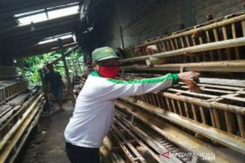Stok pangan di Kulon Progo aman