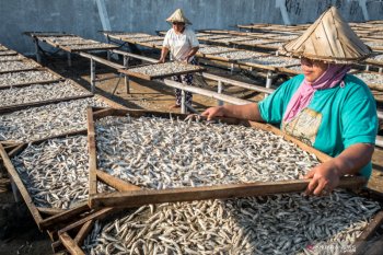 "Ekonomi Ikan Teri" desain ekonomi Indonesia masa depan