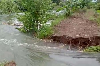 Tanggul jebol, puluhan rumah di Ujungmanik Cilacap terendam banjir