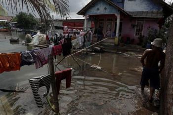 Rob di pesisir selatan Jawa Tengah