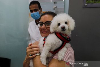 Riset : Muncul virus corona jenis baru yang berasal dari anjing