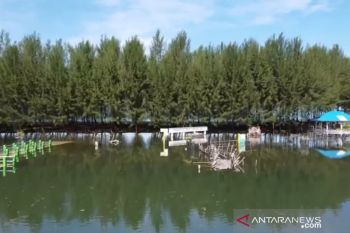 Tidal flood inundates Amping Parak Pesisir Selatan Sea Turtle Conservation